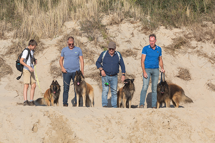 Wandeling Zoutelanden
